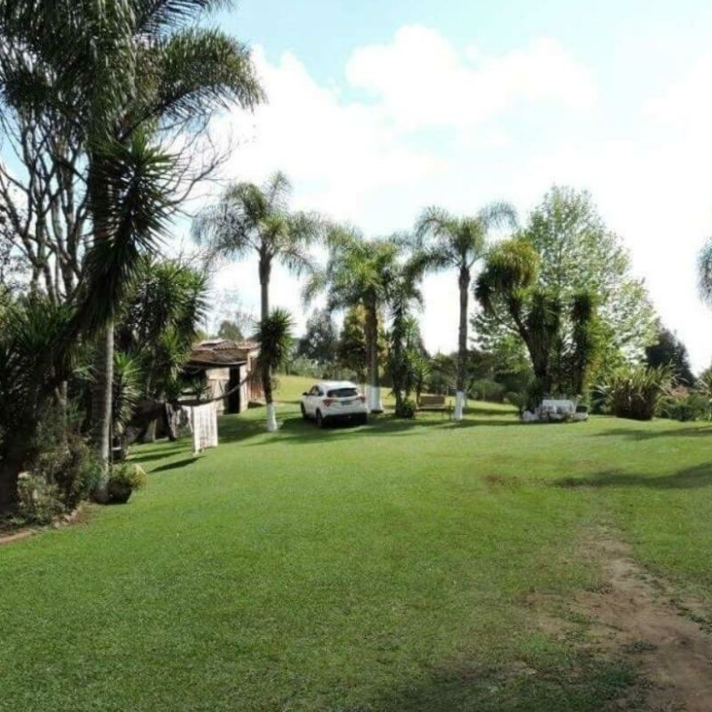 Chácara à venda em Juquitiba com mina d'água e lago . Plantas silvestres, mata preservada, a chácara fica próximo de uma cachoeira maravilhosa.