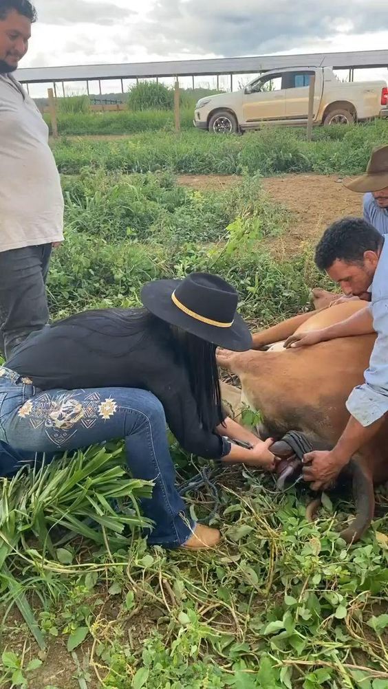 Sou de Goiás e buscava investir no interior de São Paulo. O Paulo Rodeo me deu um atendimento completo: visitas guiadas, laudo de avaliação, análise de solo e orientação para o arrendamento inicial. Profissionalismo e experiência que inspiram confiança