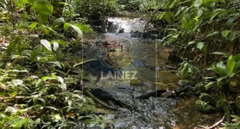 Miracatu: Terreno dos Sonhos para sua Fazenda ou Ecoturismo