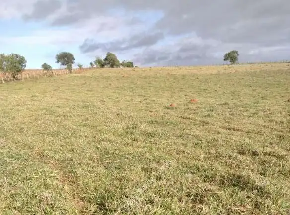 🏡 Chácara de luxo à venda em Guareí, SP! 24.200 m² de terreno plano com pastagem, terra vermelha, represa privativa e localização privilegiada. Apenas R$ 300.000,00. 🌳💧 Agende sua visita! 🚗